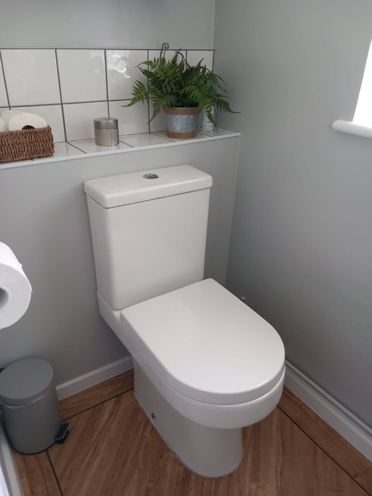 Cloakroom with a close-coupled toilet, wood-effect floor and a plant on the tiled ledge
